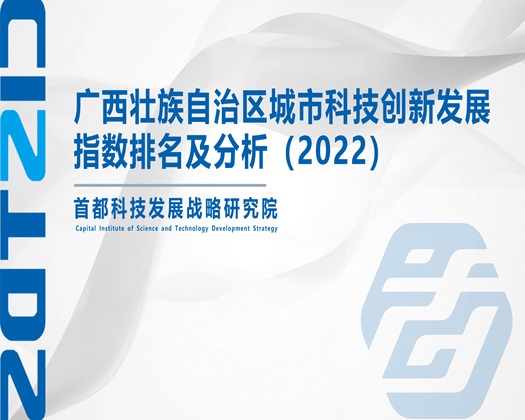 www.肏屄网红【成果发布】广西壮族自治区城市科技创新发展指数排名及分析（2022）